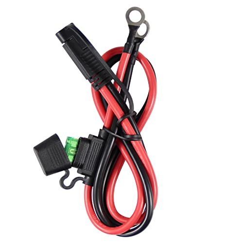 2FT SAE to O Ring Terminal Harness 10AWG - Eyelet O-Ring Terminal 10Gauge Harness with 30A Fuse,Battery Trickle Charger Cable for Motorcycle,SAE 2 Pin Connector Quick Connect/Disconnect Charging Cord - size: 1 PACK