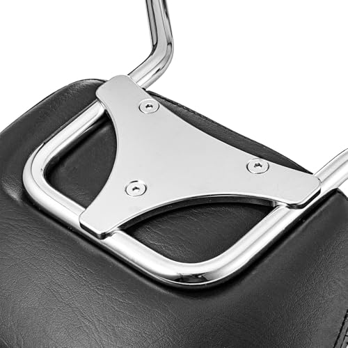 Dasen Detachable Sissy Bar Compatible with Harley Touring, Passenger Backrest Quick-Release Fit Touring Road Glide Street Glide Electra Glide Road King 2009-2025 Chrome