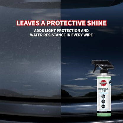 Renegade Products Notorious Waterless Wash for Auto Detailing Scratch Free Clean Mint Scent 16 oz