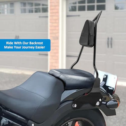 Wsays 24.5" Tall Sissy Bar Detachable Rear Passenger Backrest Quick Release Compatible with Harley Softail FLSB,FXLR,FXLRS and FXLRST 2018-2025, Gloss Black