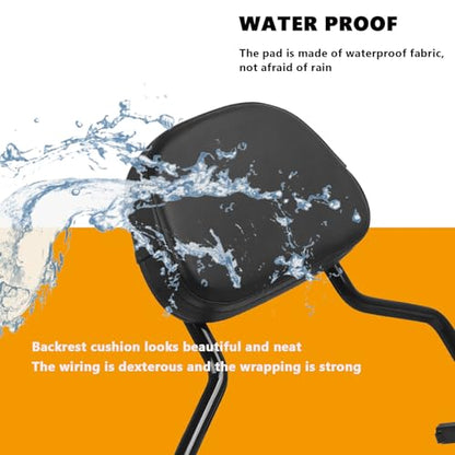 CHIFUN Detachable Rear Passenger Backrest Sissy Bar Compatible with Harley Fat Boy Breakout FLFB FLFBS FXBR FXBRS 2018-2025