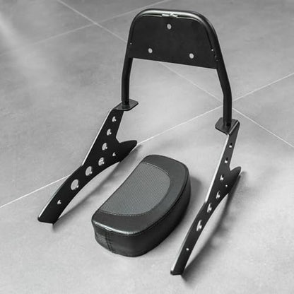 Sissy Bar Backrest for Rebel CMX 1100 2021-2024 2025 2026 Detachable Rider Passenger Back Rest Cushion Pad