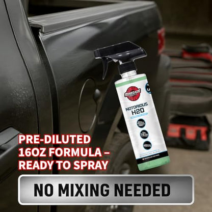 Renegade Products Notorious Waterless Wash for Auto Detailing Scratch Free Clean Mint Scent 16 oz