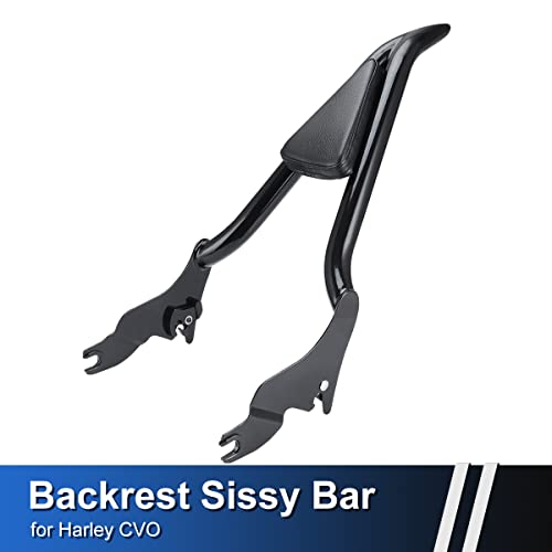 22 inch Detachable Passenger Sissy Bar Fit for Harley Touring Models 2009-2024 CVO Road Glide Street Glide Road King, One-Piece Rear Backrest with Back Cushion Black