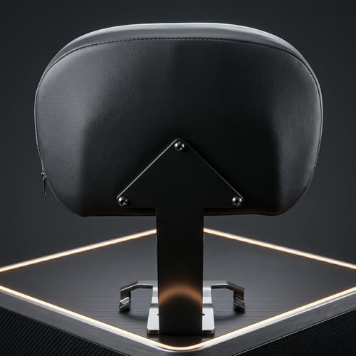 Motorcycle Rear Passenger Backrest Fit for Can-Am Ryker 600/900/Rally Edition 2019-2026, Ryker Sport 2022-2026, 15 Inches Detachable Backrest Pad with Mount Kit, Replace #219400843 (Black Line) - color: Black Line