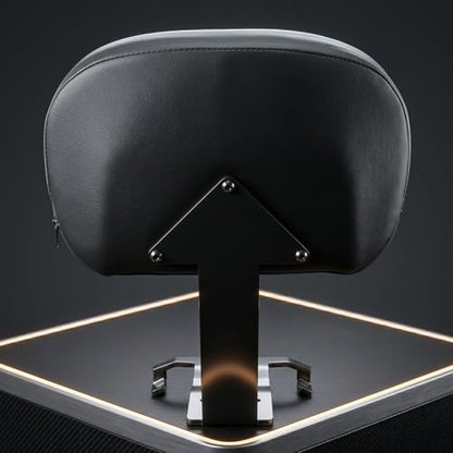 Motorcycle Rear Passenger Backrest Fit for Can-Am Ryker 600/900/Rally Edition 2019-2026, Ryker Sport 2022-2026, 15 Inches Detachable Backrest Pad with Mount Kit, Replace #219400843 (Black Line) - color: Black Line
