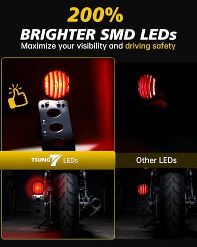 TSUNG Motorcycle LED Tail Brake Light with Side Mount License Plate Bracket, IP67 Waterproof, Polished Finish, Rear Light Assembly (Slat Kit) - color: Slat Kit