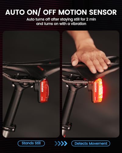 RAVEMEN TR150/TR250 Bike Tail Light, 280° Visible Bike Rear Light with Brake Detection and Auto On Off Feature, 3 Mounting Options - style: Tr150