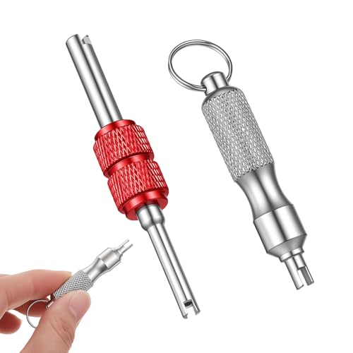 Valve Stem Removal Tool, 2 Pcs Stainless Steel Dual & Single Head Tire Stem Core Installation Remover Valve Stems Tool Core-Remover Repair Accessories for Automotive Car Bicycle Motorcycle
