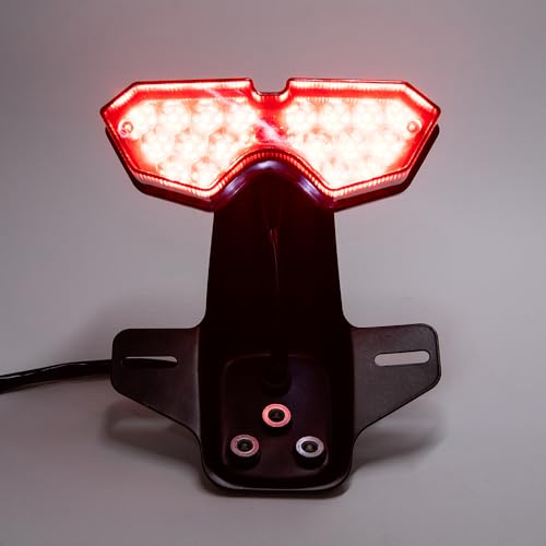 Motorcycle Lighting System Tail Lamp for Lifan Dayun CG125 CG150 CG250 Universal Electrical Rear Brake Stop Flasher Winker - color: Red-2