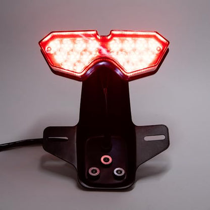 Motorcycle Lighting System Tail Lamp for Lifan Dayun CG125 CG150 CG250 Universal Electrical Rear Brake Stop Flasher Winker - color: Red-2