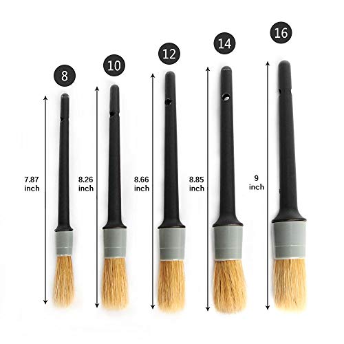 AUTO CARE Natural Boar Hair Detail Brush (Set of 5),Premium Detail Brushes for Engines, Wheels, Interior, Leather, Trim,Air Vents, Emblems