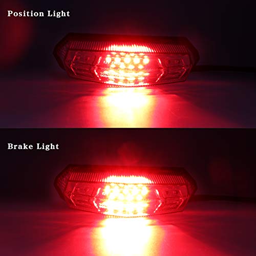 Universal Clear Integrated Motorcycle 25 LED Tail Light With Turn Signal Function For Dirt Bike Buggy Chooper Cruiser ATV(clear) - color: clear
