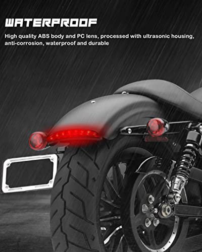 NTHREEAUTO Motorcycle Chopped Rear Fender Edge LED Brake Tail Light Integrated Turn Signals Compatible with Harley Sportster XL883N XL1200N XL1200V XL1200X - color: LED Bulbs