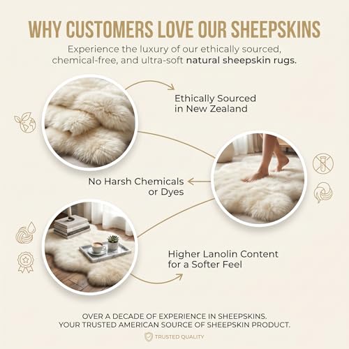 Premium Genuine Fur Sheepskin Rug - Real N.Z. 100% Sheepskin Natural Luxury Fluffy Lambskin Fur Area Rug - Seat Cover for Sofa Chair and Bedroom - 2' W x 3'L - Natural Creamy White Wool - color: Natural (Yellow Undertones), size: 2' x 3' (Natural)