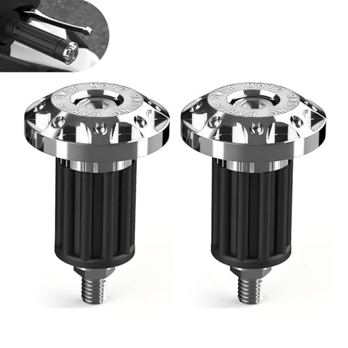 2 PCS Motorcycle Handlebar End Plugs, Anti-Drop Wear-Resistant Alloy Handlebar Grip End Caps, Decor & Protection, for Bikes Scooters Motorcycles (Silver) - color: Silver
