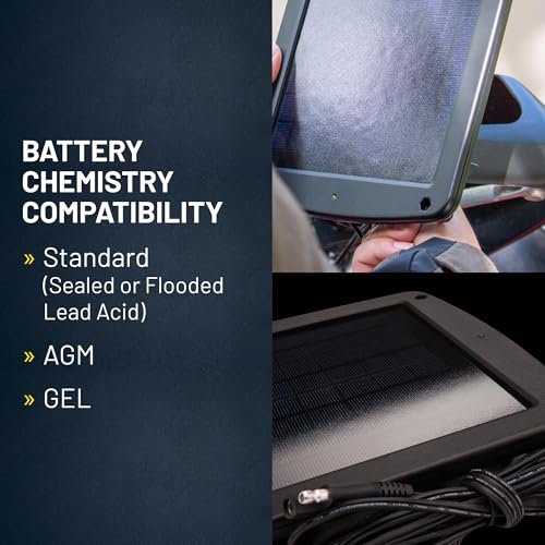 Battery Tender 5 Watt Solar Panel 12V Battery Charger with Charge Controller - IP67 Weatherproof - Windshield or Handlebar Mountable - Included Ring Terminal Cable or OBD II Connector - 021-1172