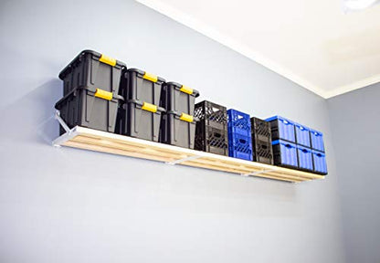 Rhino Shelf RhinoMini Universal Garage Storage Kit - 12 feet - size: 12-ft Length x 20-in Depth