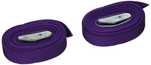 CLC Custom Leathercraft 2WS08 Strap-It Web Tie Down Straps, Purple, 8-Foot, 2-Pack