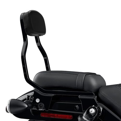 TCT-MOTORPARTS Black Detachable Passenger Backrest Sissy Bar Fit For Harley Nightster RH975 2022-2025 Nightster Special RH975S 2023-2025