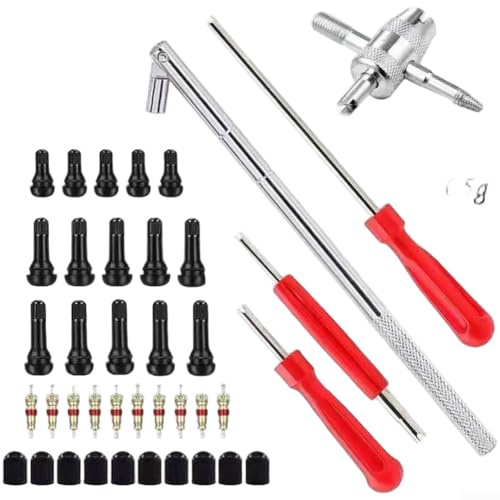 Tire Valve Stem Puller Tools Set Valve Stem Removal Tool Valve Core Remover Installer Tool for Car, Truck, and Motorcycle Tire Maintenance(E)