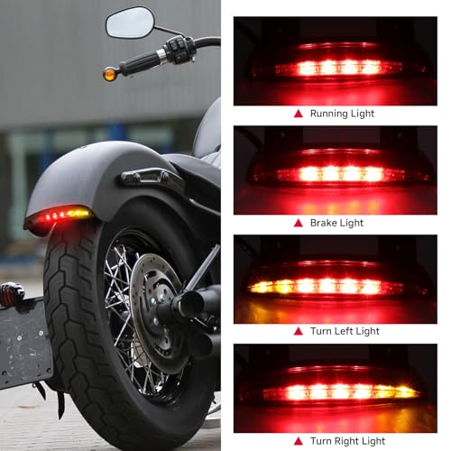 Motorcycle Chopped Rear Fender Edge LED Brake License Plate Tail Light Stop Running Light Turn Signal Lamp Compatible with Harley Sportster XL883N 1200N XL1200V XL1200X (Smoke Lens) - color: Smoke Lens#1