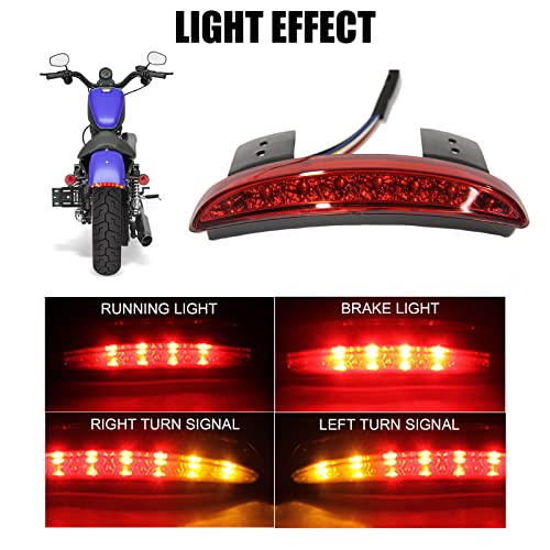 DREAMIZER Motorcycle Chopped Rear Fender Edge LED Brake License Plate Tail Light Stop Running Light Turn Signal Lamp Compatible with Harley Sportster XL883N 1200N XL1200V XL1200X - color: RED#1