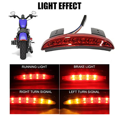 DREAMIZER Motorcycle Chopped Rear Fender Edge LED Brake License Plate Tail Light Stop Running Light Turn Signal Lamp Compatible with Harley Sportster XL883N 1200N XL1200V XL1200X - color: RED#1