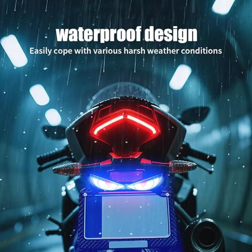 Motorcycle Brake Light, High Visibility Safety Lamp, 19x5x0.5cm, Eye Shape License Plate Lamp, License Plate LED Light, Sturdy And Weather Resistant, For Night Riding, Daily Commuting, Cycling, Travel - color: Snake eye lamp - ice blue + red flash