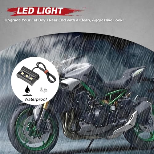 Foldable License Plate Holder with License Plate Light, Compatible with OEM/Stock Turn Signal Motorcycle Fender Eliminator Compatible with Z900 2025 Z900SE 2025 Accessories