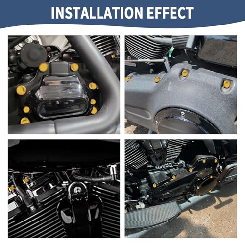Motorcycle Bolt Covers Engine Bolt Toppers Caps Kit Fit for Harley 2007-2016 Touring Road Glide Street Glide Road King Electra Glide FLT FLH (Gold) - color: Gold