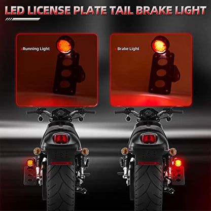 Amazicha LED Tail Rear Light 3/4" Axle Hole Side Mount License Plate Bracket Brake Light Motorcycle Compatible for Harley Honda Yamaha Suzuki Chopper Bobber - size: 0.75inch, style: Flat