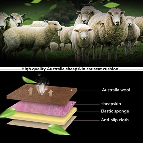 Authentic Sheepskin Car Seat Cushions,Soft Breathable Short Wool Auto Seat Covers Universal Fit for Cars,Chairs Sofa Comfortable and Anti-Slip Front(Light tan)
