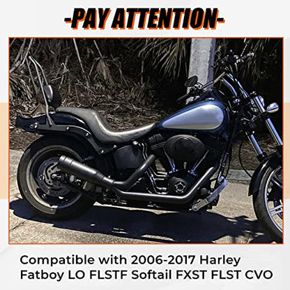 ECOTRIC Motorcycle Detachable Sissy Bar Backrest Pad Compatible with 2006-2017 Harley Davidson Fatboy Fat boy LO FLSTF Softail FXST FLST CVO Rear Passenger Adjustable Back rest Black Steel