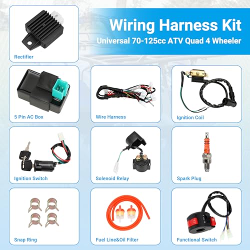 EOPOAYI Electric Wiring Harness Kit Compatible with Taotao Coolster 110cc 125cc Chinese ATV Quad 4 Wheeler 4-Stroke Parts with Starter Solenoid Relay Ignition Coil Voltage Regulator CDI Box Spark Plug