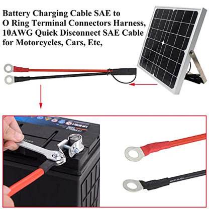 HCFeng10AWG SAE to O Ring Terminal Cable SAE to 2-Pin Quick Disconnect O Ring Terminal Harness Plug Adapter S-A-E Battery Extension Cable for 12V/24V Motor, ATV, Lawn Mower, Cars[30CM/1ft]