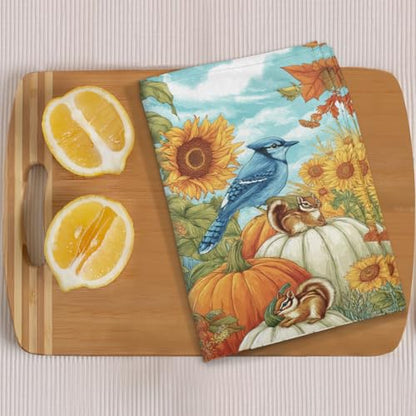 Sunflower Birds Kitchen Towels Set of 2 Autumn Pumpkin Squirrel Dish Towels Bar Absorbent Cleaning Tea Towel for Home Dining Restaurants - color: Sunflower Birds Autumn Pumpkin Squirrel