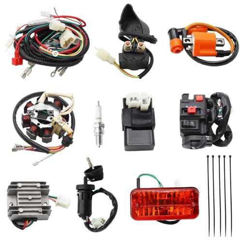PRO BAT Complete Electrics 4 Stroke Wiring Harness Kit 8 Coil CDI Stator Tail Light for 150cc 200cc 250cc 300cc 4 Wheelers Stroke ATV Go Kart Quad Pit Dirt Bike Zongshen Lifan YX - style: 250 hawk dirt bike wiring harness kit 350cc quad wiring harness wir