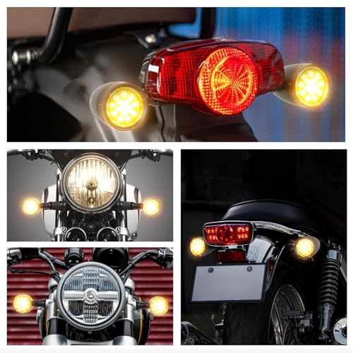 Rich Choices 2pcs Black 15 LED Motorcycle Stop Brake Running Turn Signal Indicator Amber Lights For Harley Honda Chopper (Black with net-Amber Light) - color: Black with net-Amber Light