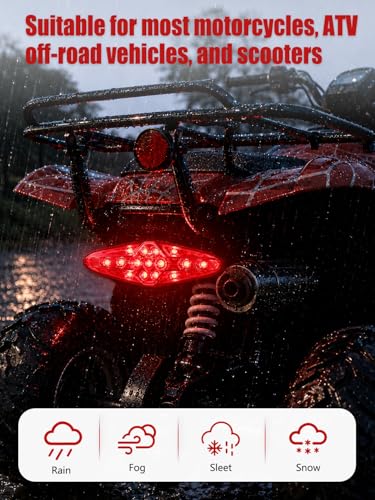 Watris Veiyi 12V Motorcycle Rear Brake Tail Light, Universal 15 LED Led Tail Brake Light for ATV Dirt Bike(Red)