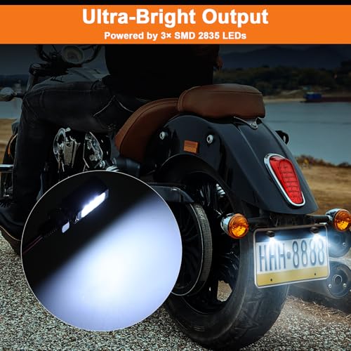 4PCS License Plate Light Bolt Kit, 3-LED Screw Bolt Lamp with 30cm Wires, 2 Black + 2 Silver Shell, Universal Tag Light for Car Truck Motorcycle ATV Trailer