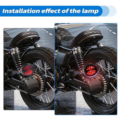LED Motorcycle Tail Light Brake Turn Signal Black Lamp Housing Waterproof 12V Fit for Universal Red Light (1 Pcs)
