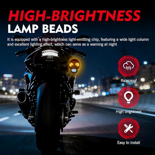 2 PCS Motorcycle Skull Turn Signal Light, 10 mm Screw LED Turn Signal Lamp with White DRL & Amber Direction Warning, Universal for Scooter Dirt Bike (White & Amber) - color: White & Amber