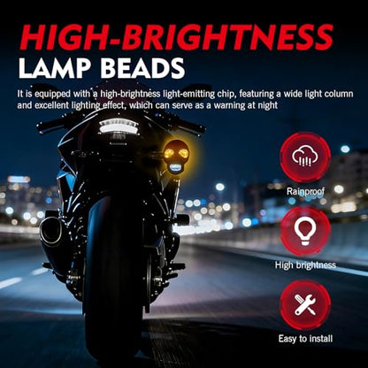 2 PCS Motorcycle Skull Turn Signal Light, 10 mm Screw LED Turn Signal Lamp with White DRL & Amber Direction Warning, Universal for Scooter Dirt Bike (White & Amber) - color: White & Amber