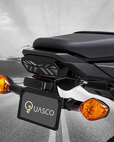 LED Brake Tail Light Integrated Sequential Rear Turn Signals Motorcycle Taillight Assembly Compatible with Honda Grom MSX125 CB650F CB650R CBR650F CTX700N, Smoked Lens