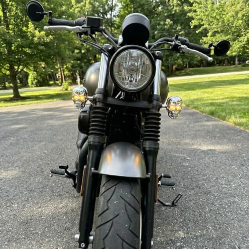 Motorcycle 10mm Screw Skull Head LED Amber Turn Signal Indicator Light (Chrome) - color: Chrome