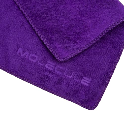 Molecule Helmet Anti-Fog Spray | Premium Helmet Care Spray | Reduces Fogging & Improves Visibility for Helmet Visors, Goggles & Windscreens | Cleans Dirt & Residue | 4 oz + 1 Microfiber Towel