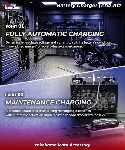 KAEDEAR Motorcycle Smart Battery Charger, USB Input, Mobile Battery Compatible, 12V, 2A, Maintenance Charging Function, Prevent Battery Damages, Perfect for Winter Storage, No Outlet Needed, KDR-B12
