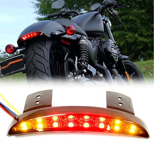 Motorcycle Chopped Rear Fender Edge LED Brake License Plate Tail Light Stop Running Light Turn Signal Lamp Compatible with Harley Sportster XL883N 1200N XL1200V XL1200X (Smoke Lens) - color: Smoke Lens#1