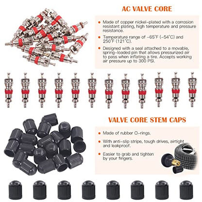 119Pcs Valve Core Remover Tools with Aluminum Tire Valve Stem Caps, Valve Core, Dual Single Head Valve Core Remover and 4-Way Valve Tool Kit for Automotive Truck Motorcycle Bicycle